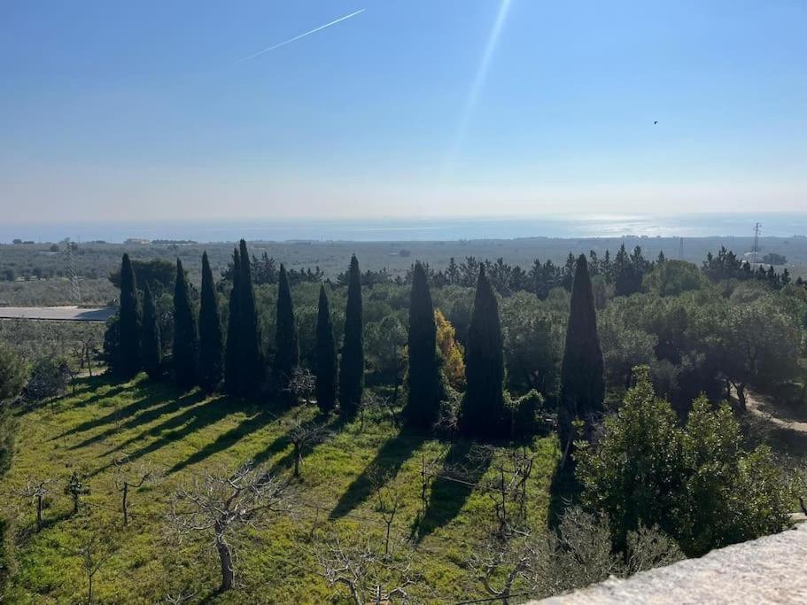 Casa Masseria Dell'800 Gargano. Le Mignole モンテ・サンタンジェロ エクステリア 写真