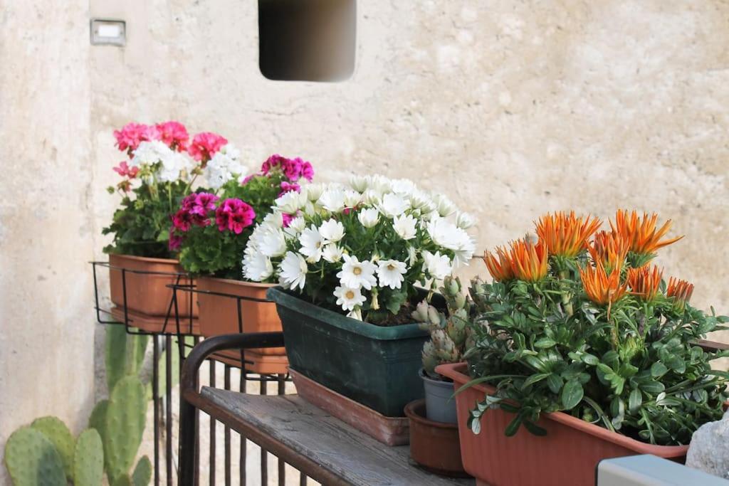 Casa Masseria Dell'800 Gargano. Le Mignole モンテ・サンタンジェロ エクステリア 写真
