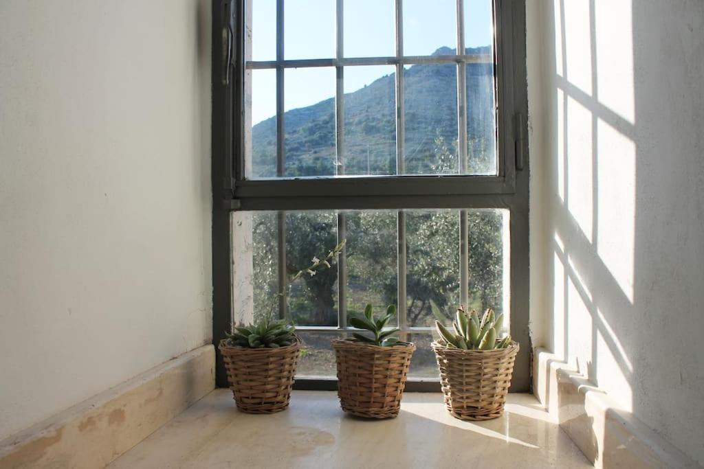 Casa Masseria Dell'800 Gargano. Le Mignole モンテ・サンタンジェロ エクステリア 写真