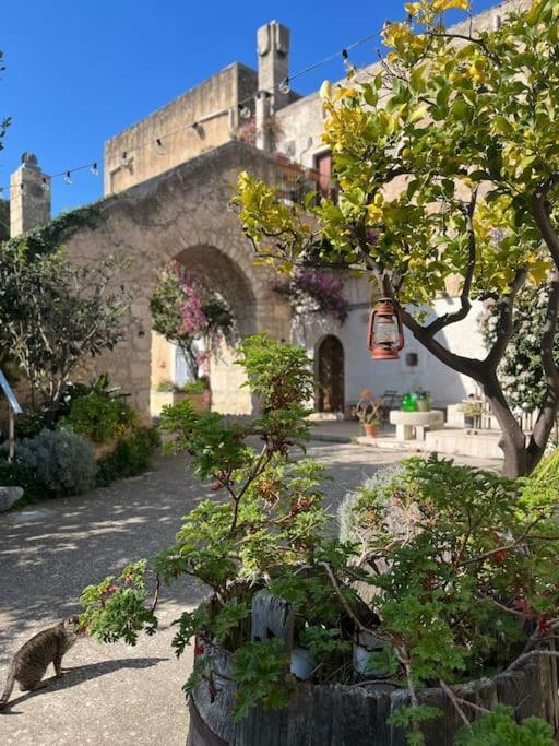 Casa Masseria Dell'800 Gargano. Le Mignole モンテ・サンタンジェロ エクステリア 写真