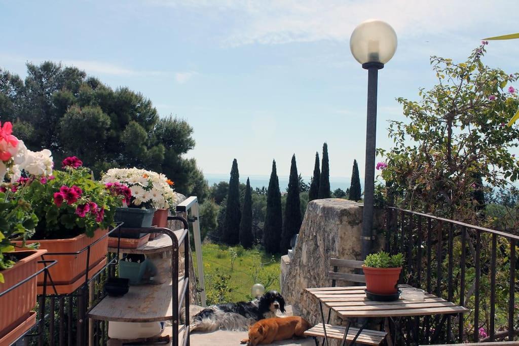 Casa Masseria Dell'800 Gargano. Le Mignole モンテ・サンタンジェロ エクステリア 写真
